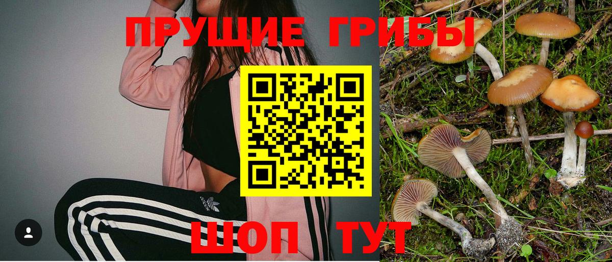 Галлюциногенные грибы Magic Shrooms Комсомольск-на-Амуре