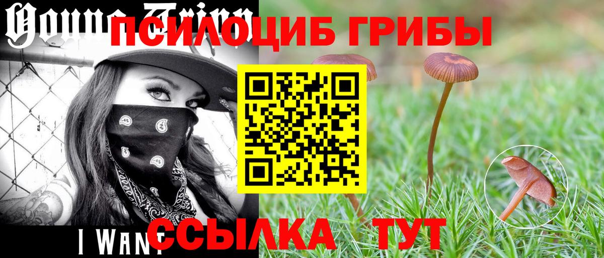 Псилоцибиновые грибы мицелий  Вход с VPN  Галлюциногенные грибы MAGIC MUSHROOMS  где купить наркотик  Комсомольск-на-Амуре 